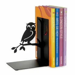 Balvi Boekensteun Uil