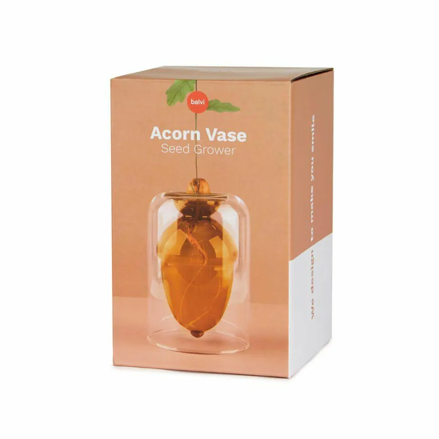 Balvi Seed grower Acorn vaas bruin