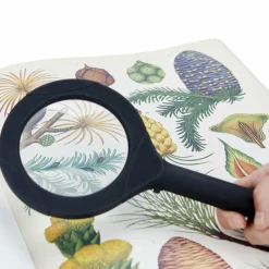 Balvi Vergrootglas Zoom met licht