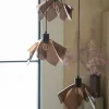 By Boo Hanglamp Nims cluster 3
