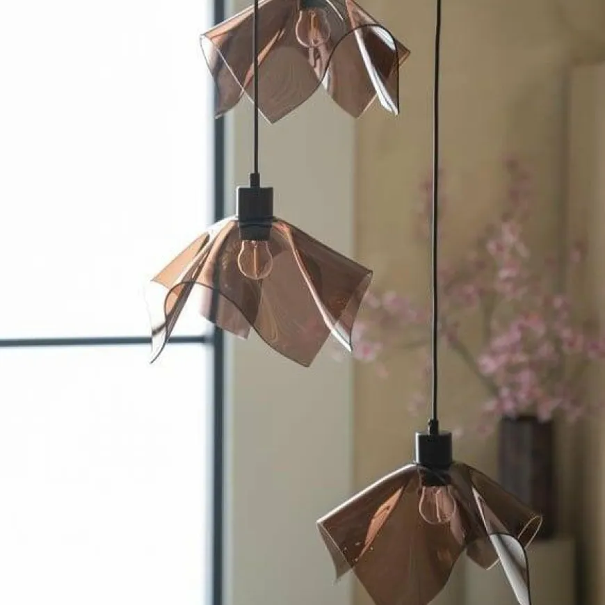 By Boo Hanglamp Nims cluster 3