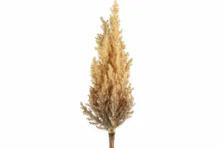 Countryfield Astilbe lichtbruin