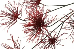 Countryfield Kunstbloem Grevillea M Rood Paars