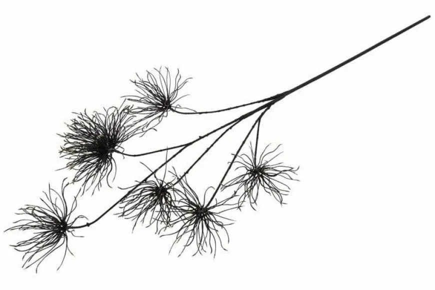 Countryfield Kunstbloem Grevillea M zwart