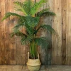 Countryfield Kunstplant Areca L groen 160 cm
