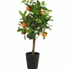 Countryfield Kunstplant Citrus Sinasappel oranje 75 cm hoog