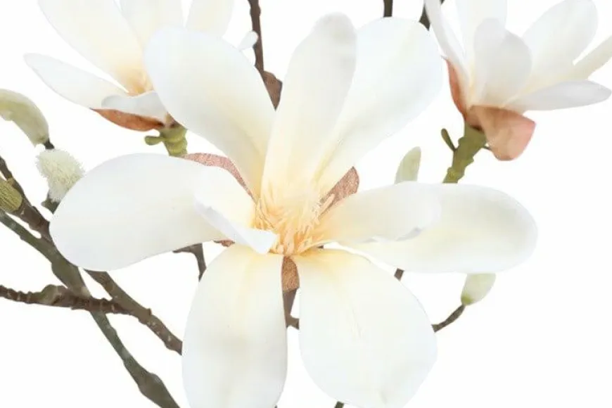 Countryfield Kunstplant Magnolia S wit 54 cm hoog