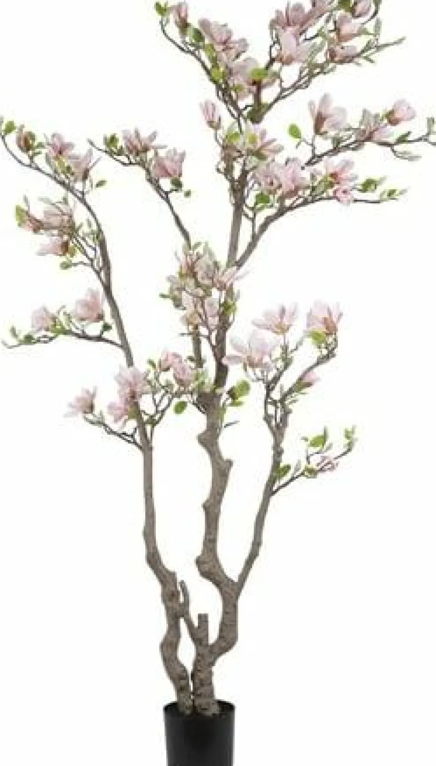 Countryfield Kunstplant Magnolia L roze / wit - 220 cm hoog