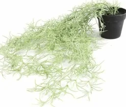 Countryfield Kunstplant Tillandsia groen