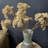 Countryfield Kunsttak Achillea creme