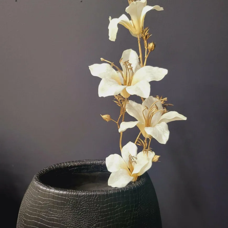 Countryfield Kunsttak Bauhinia Creme