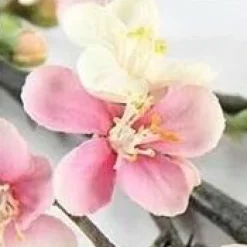 Countryfield Kunsttak Bloesem Quince S roze