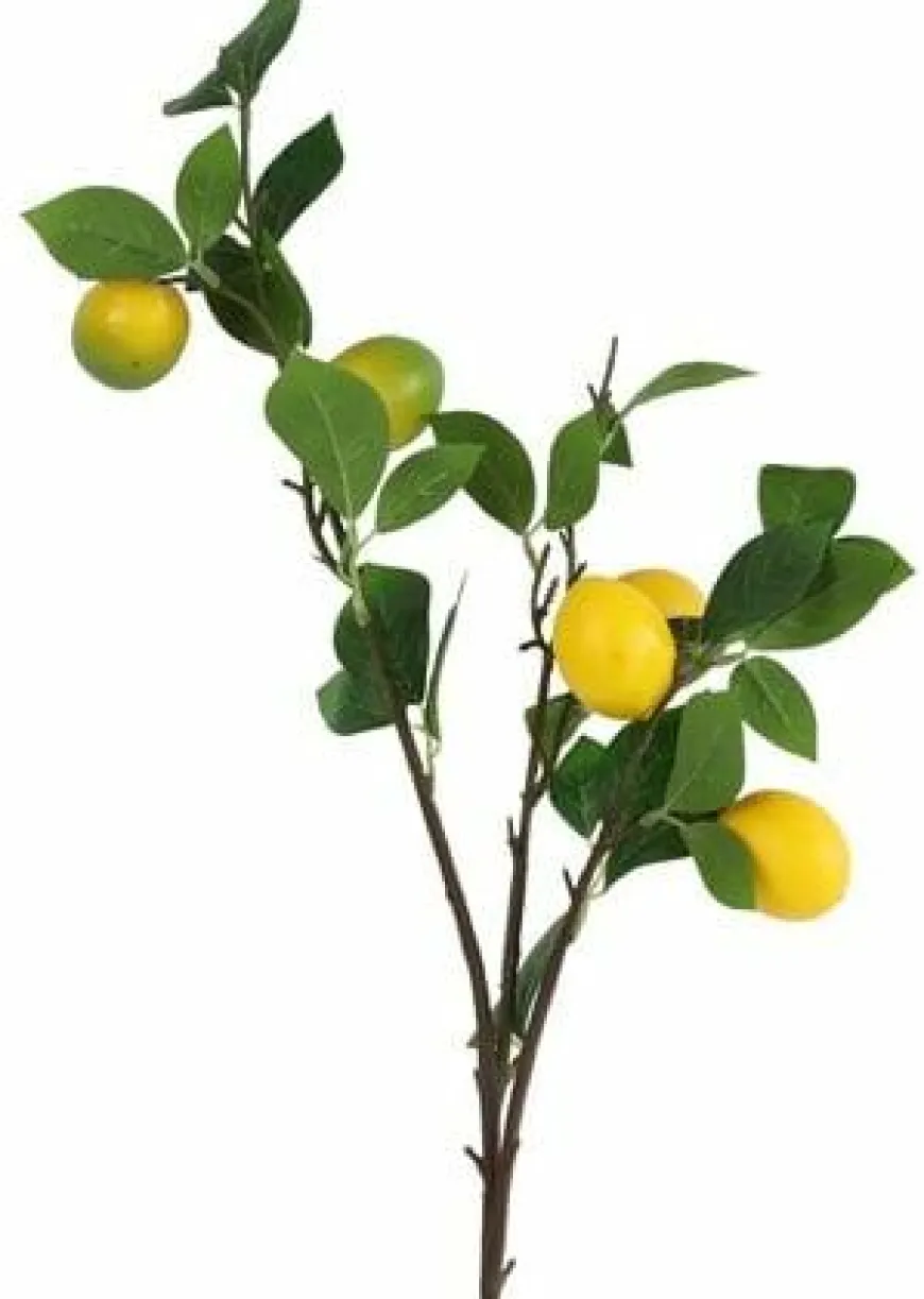 Countryfield Kunsttak Citrus lemon geel