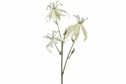 Countryfield Kunsttak Gloriosa S crème
