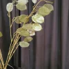 Countryfield Kunsttak Lunaria biennis L - bruin of groen