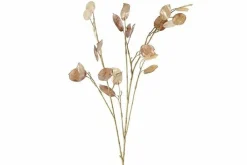Countryfield Kunsttak Lunaria biennis L - bruin of groen