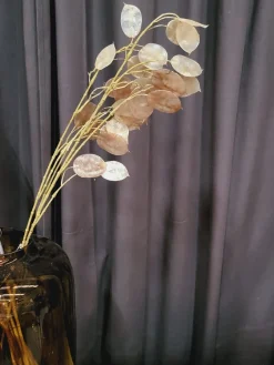Countryfield Kunsttak Lunaria biennis L - bruin of groen
