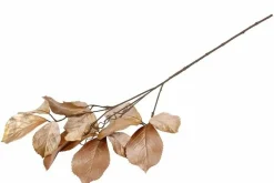 Countryfield Kunsttak Parthenocissus S bruin