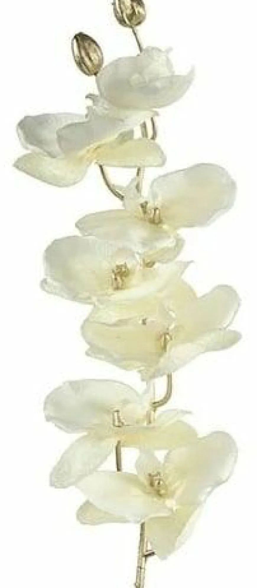 Countryfield Kunsttak Phalaenopsis crème