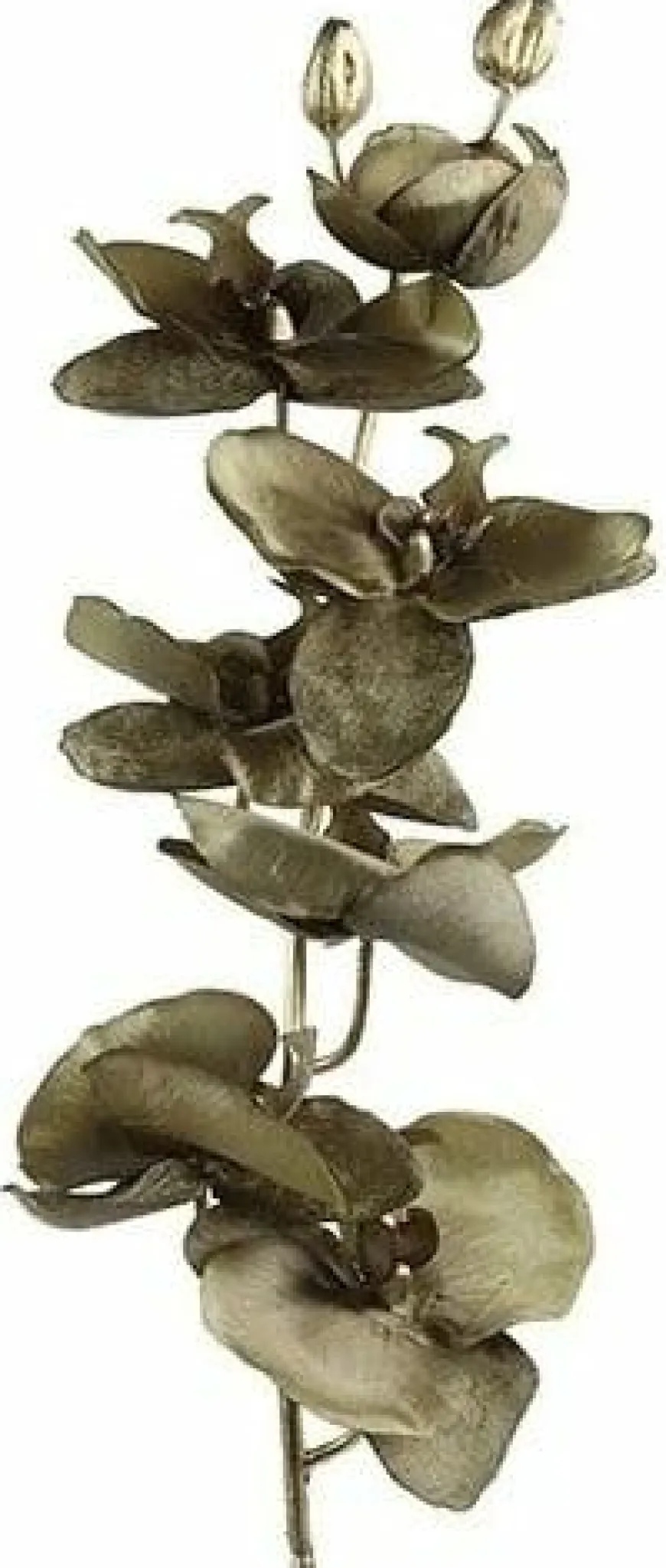 Countryfield Kunsttak Phalaenopsis bruin