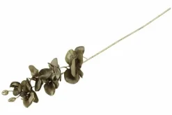 Countryfield Kunsttak Phalaenopsis bruin