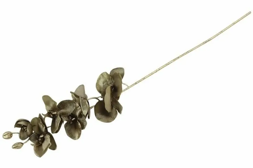 Countryfield Kunsttak Phalaenopsis bruin