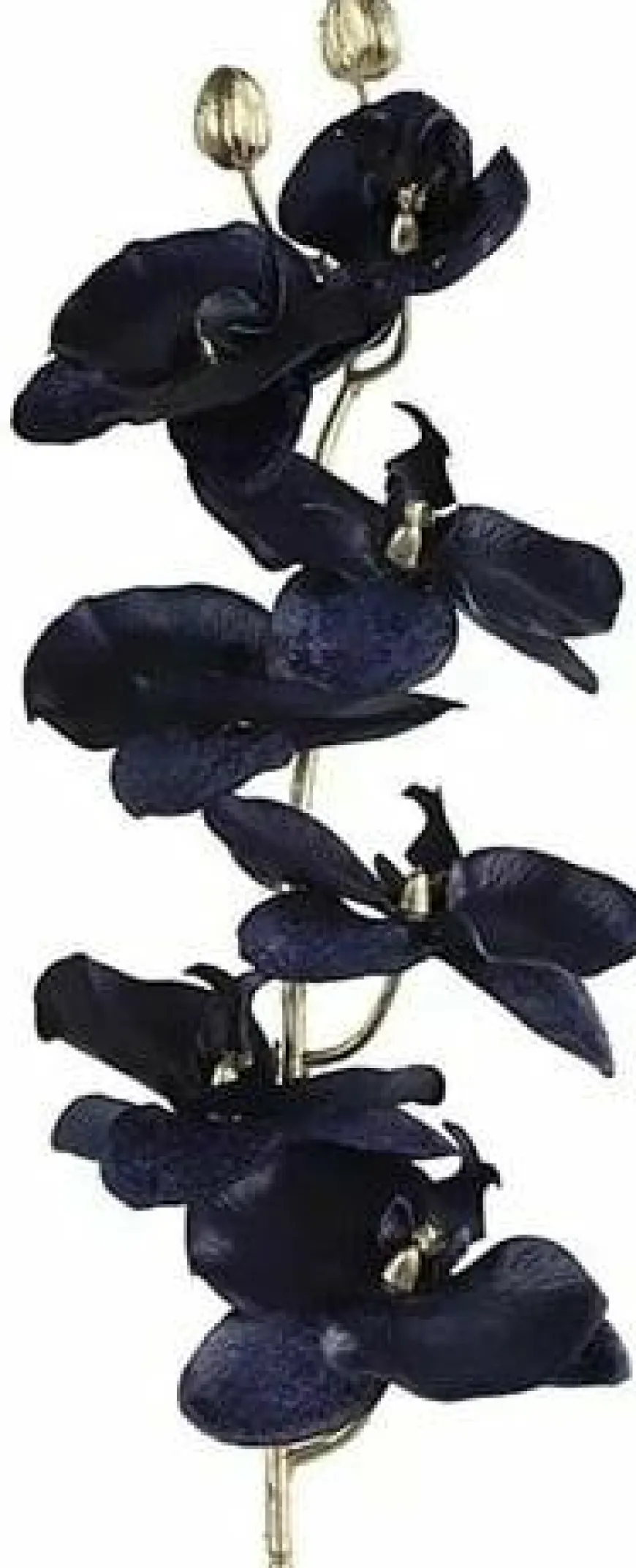 Countryfield Kunsttak Phalaenopsis donkerblauw