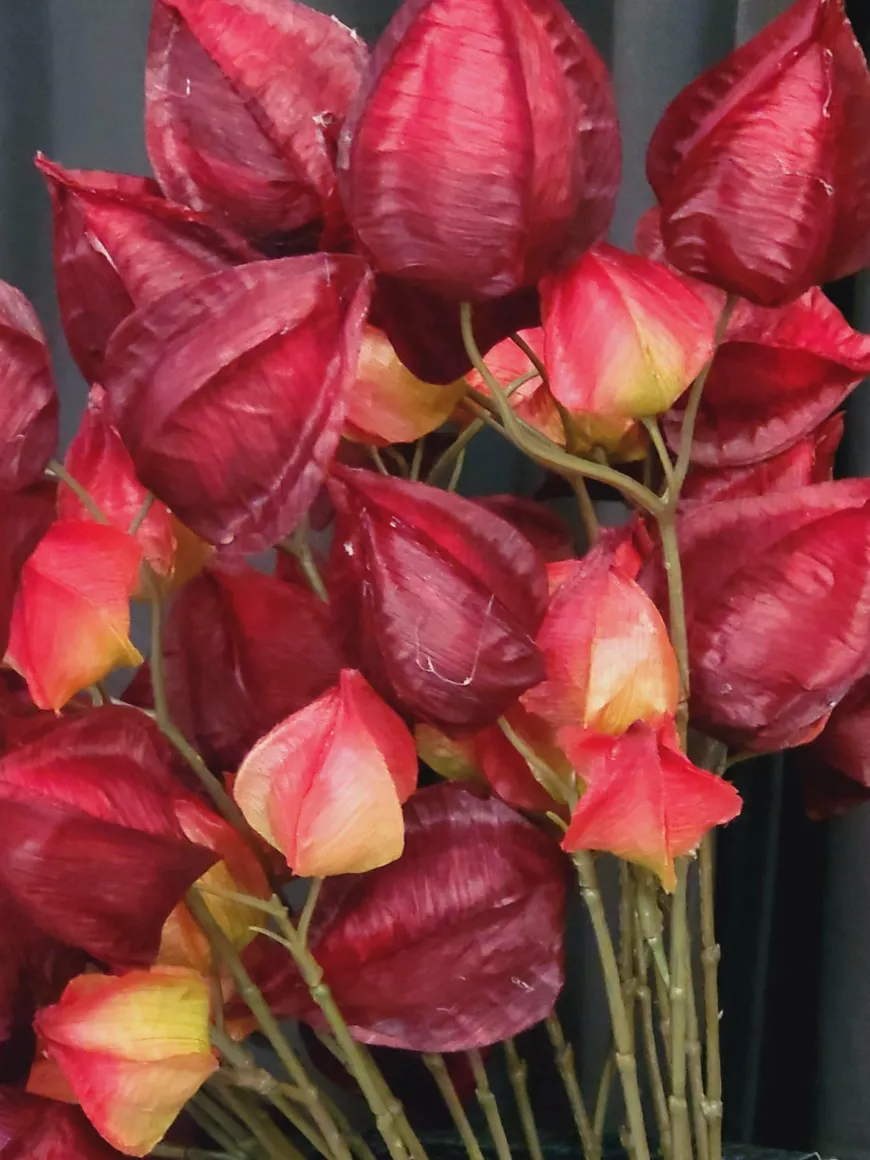 Countryfield Kunsttak Physalis vuur rood