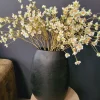 Countryfield Kunsttak Prunus Mume S wit