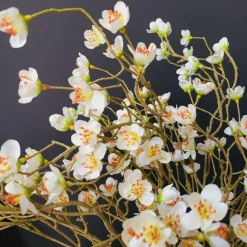 Countryfield Kunsttak Prunus Mume S wit