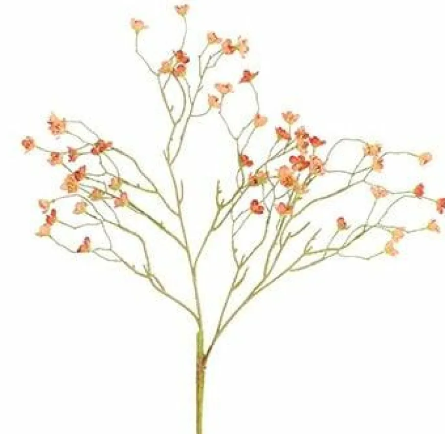 Countryfield Kunsttak Prunus Mume S rood