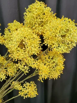 Countryfield Kunsttak Viburnum S groen of geel