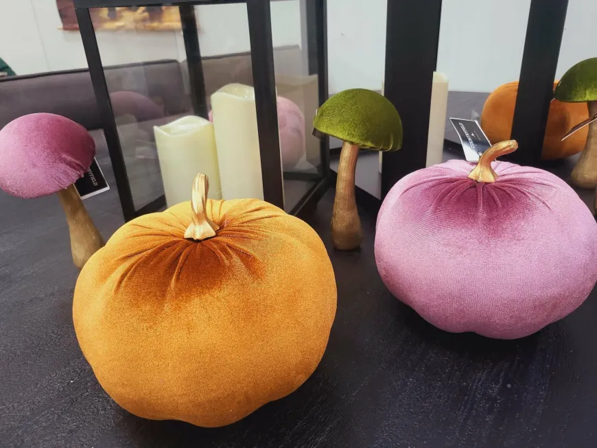 Countryfield Pompoen Pumpa L lila / roze