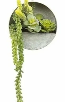 Countryfield Senecio groen met hangbakje