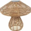Countryfield Solar paddenstoel Miluska M bruin-L22B22H23CM