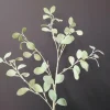 Countryfield Tak Eucalyptus groen 3