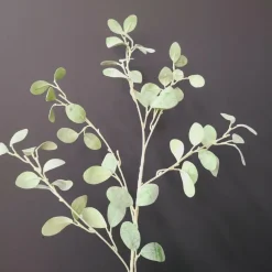 Countryfield Tak Eucalyptus groen 3