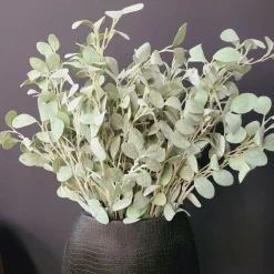 Countryfield Tak Eucalyptus groen 3