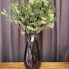 Countryfield Tak Eucalyptus groen 2