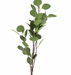 Countryfield Tak Eucalyptus groen 2