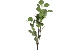 Countryfield Tak Eucalyptus groen 2