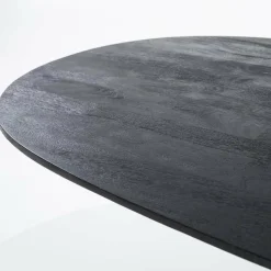 Eleonora Eettafel Aron ovaal 300x110 - zwart