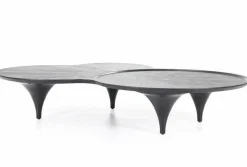 Eleonora Salontafel Fay