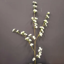 Light en Living Kunsttak 122x30x5 cm SPIRACEA creme