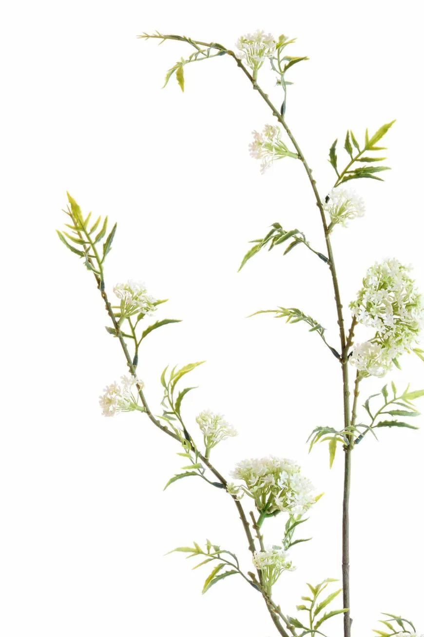 Light en Living Kunsttak 110X20X5 Cm GYPSOFILA groen-creme