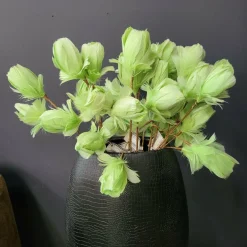 Light en Living Ornament 3 bloemen 70 cm TULIP licht groen