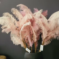 Light en Living Ornament 5 veren 129 cm FEATHER licht oud roze