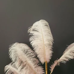 Light en Living Ornament 5 veren 129 cm FEATHER licht oud roze