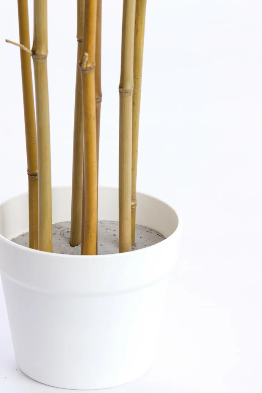 Light en Living Ornament in pot 70x60x120 cm BAMBOO naturel+crème