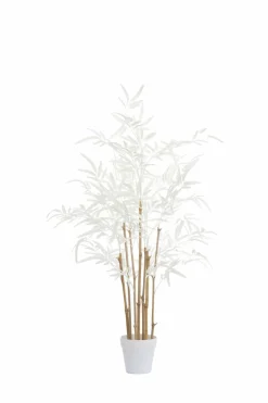 Light en Living Ornament in pot 70x60x90 cm BAMBOO naturel+crème